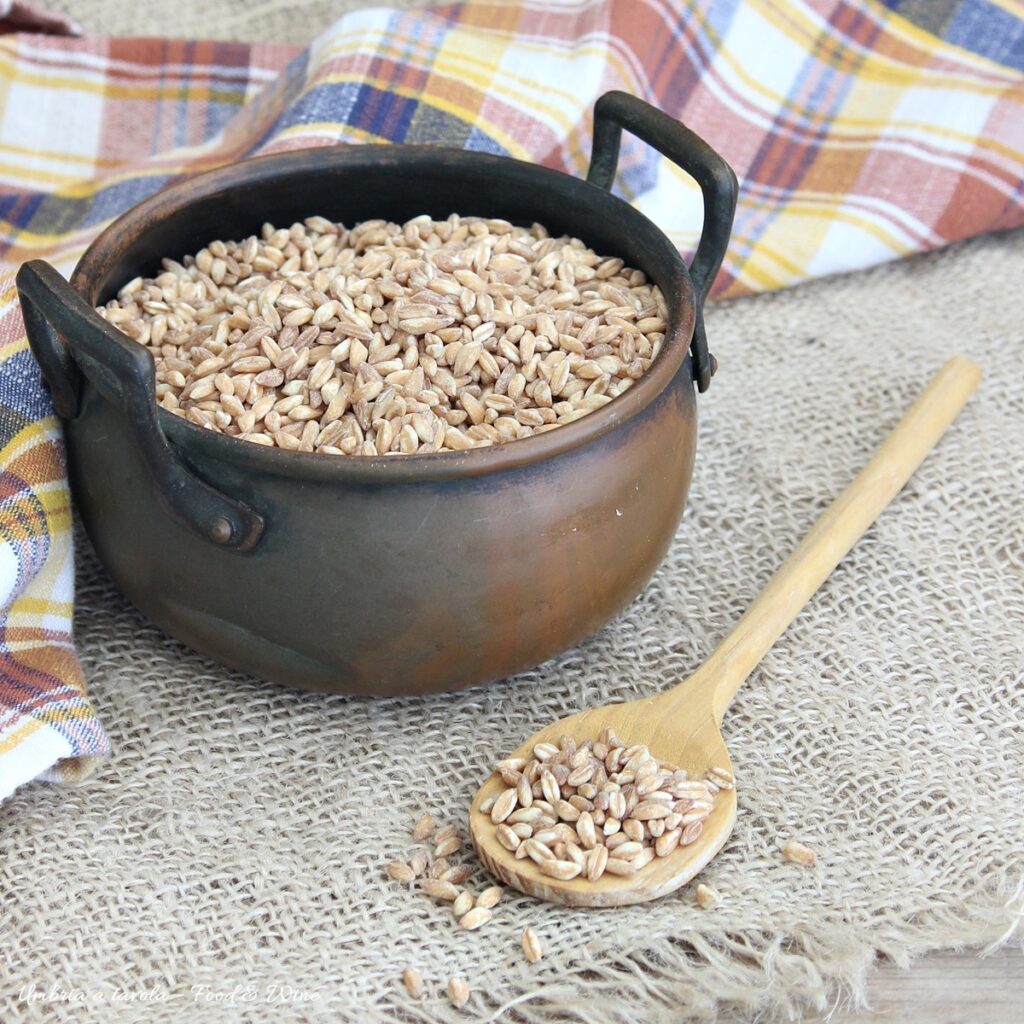 tegamino con grani di farro perlato
